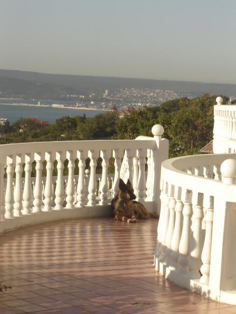 Family Hotel Casablanca Green Varna Exterior photo